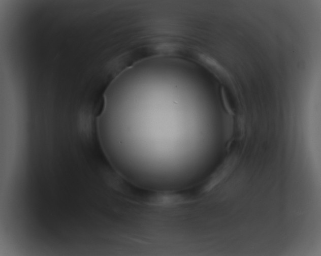 X0000101470379200807071448
