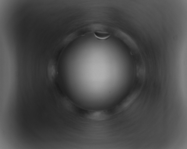 X0000101470382200807071448