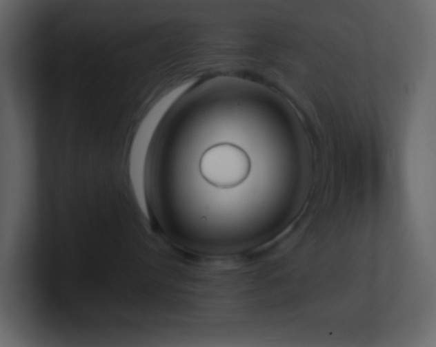 X0000101470384200807071448