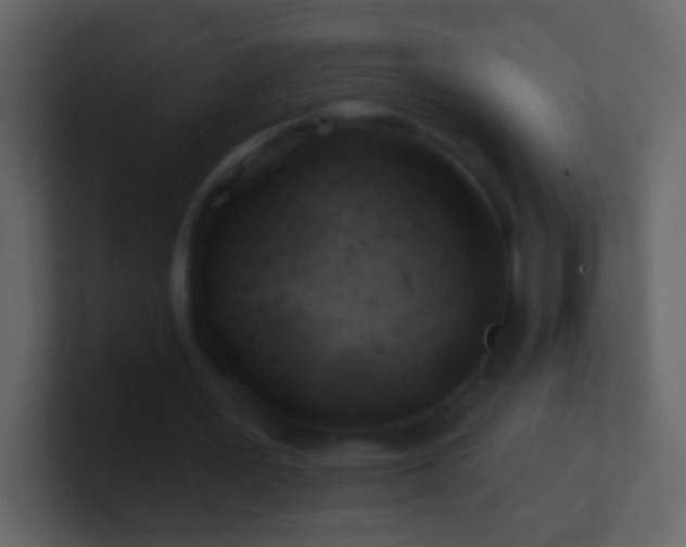 X0000101470387200807071447