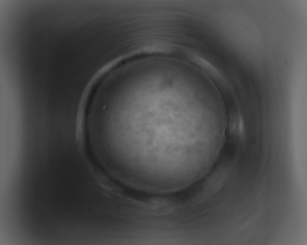 X0000101470388200807071447
