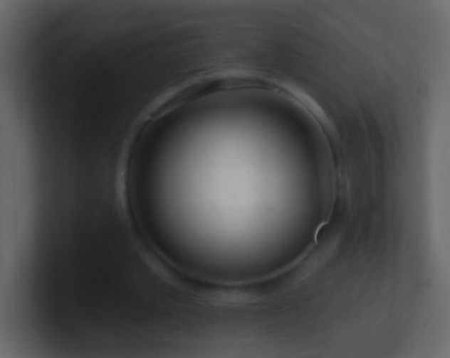 X0000101470389200807071447