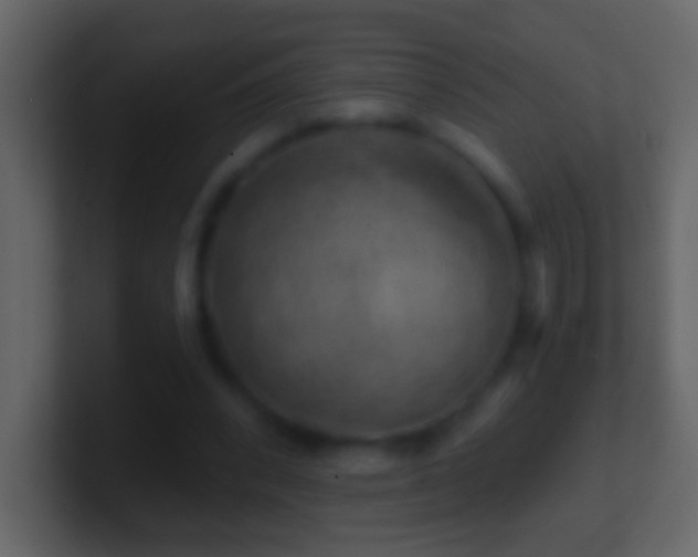 X0000101470392200807071447