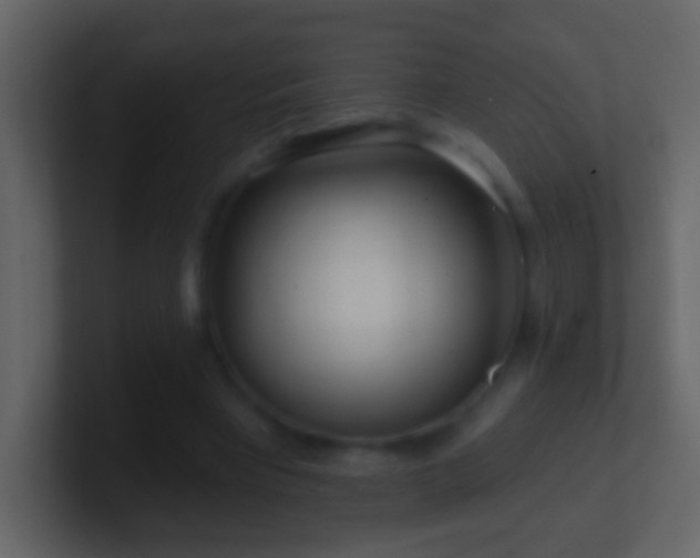 X0000101470393200807071447