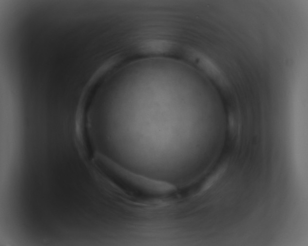 X0000101470396200807071447