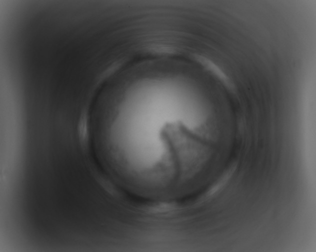 X0000101470398200807071447