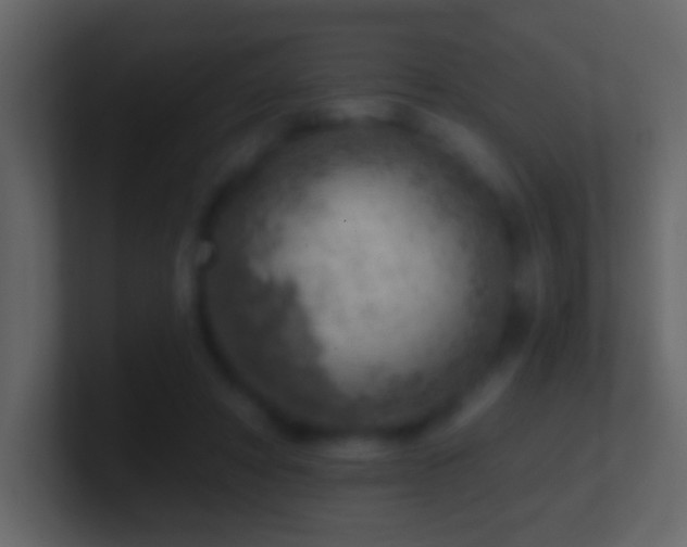 X0000101470402200807071447
