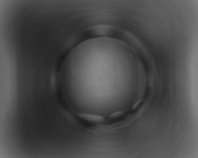X0000101470408200807071447