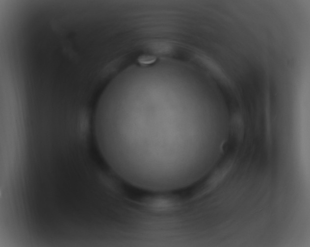 X0000101470412200807071447