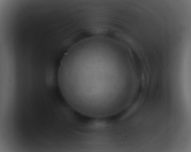 X0000101470416200807071447