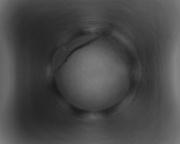 X0000101470420200807071447