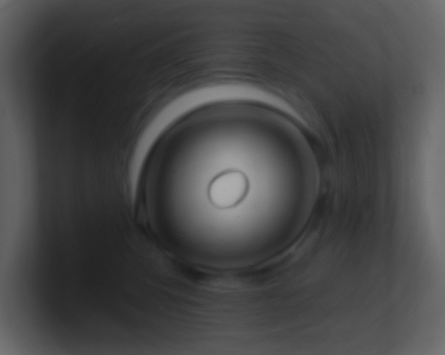 X0000101470423200807071447