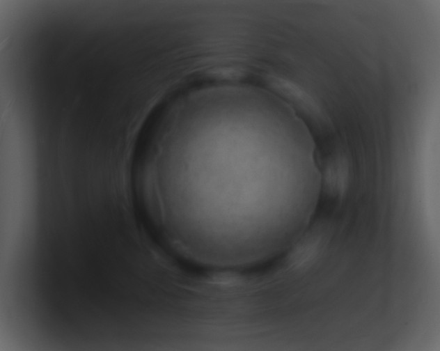 X0000101470424200807071447