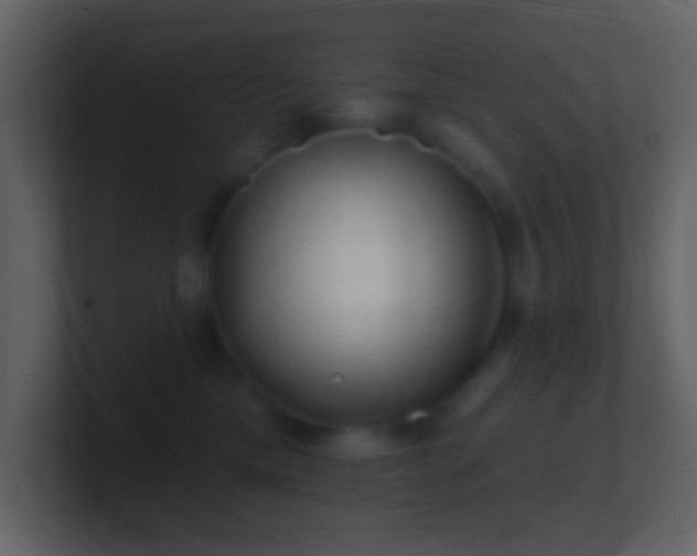 X0000101470425200807071447