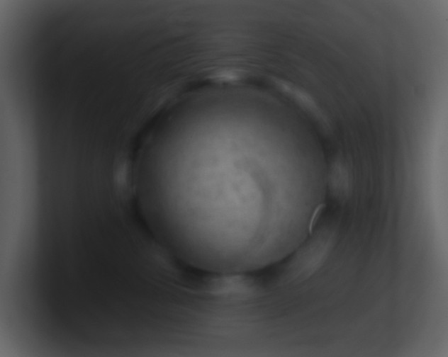 X0000101470428200807071447