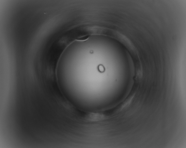 X0000101470429200807071447