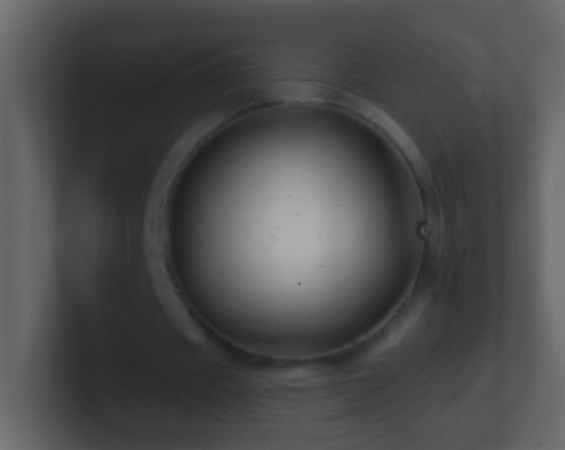 X0000101470433200807071446