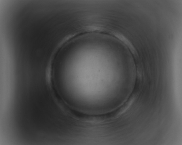 X0000101470434200807071446