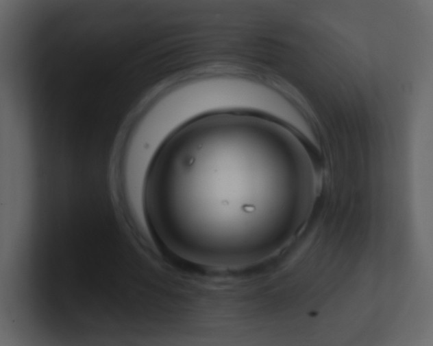 X0000101470436200807071446