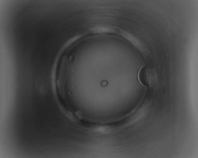 X0000101470438200807071446