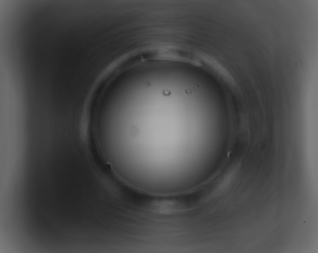 X0000101470440200807071446