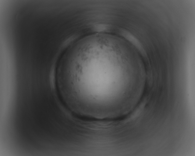 X0000101470442200807071446