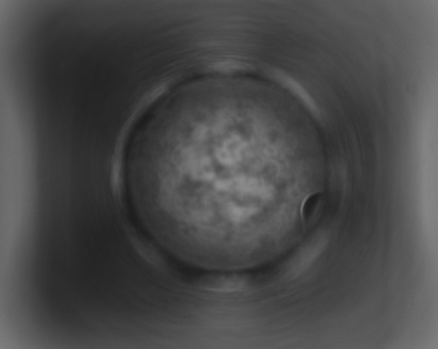 X0000101470443200807071446