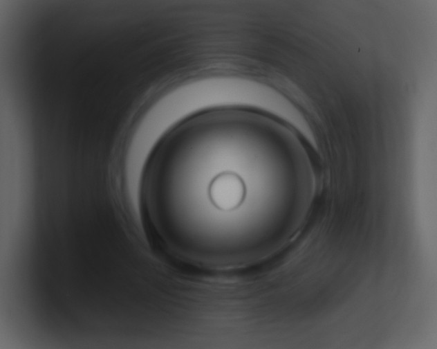 X0000101470444200807071446