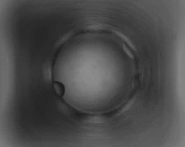 X0000101470446200807071446
