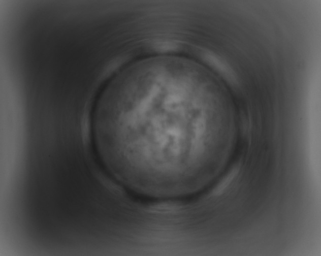X0000101470447200807071446