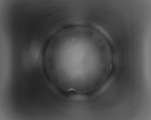 X0000101470449200807071446