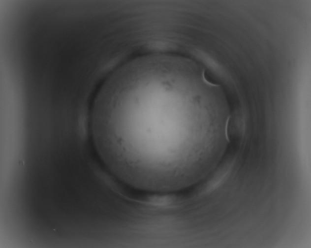 X0000101470450200807071446