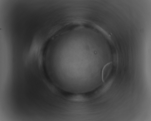 X0000101470451200807071446