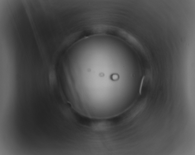 X0000101470452200807071446