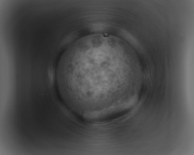 X0000101470454200807071446