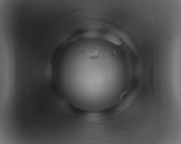 X0000101470457200807071447