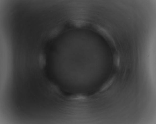 X0000101470471200807071447