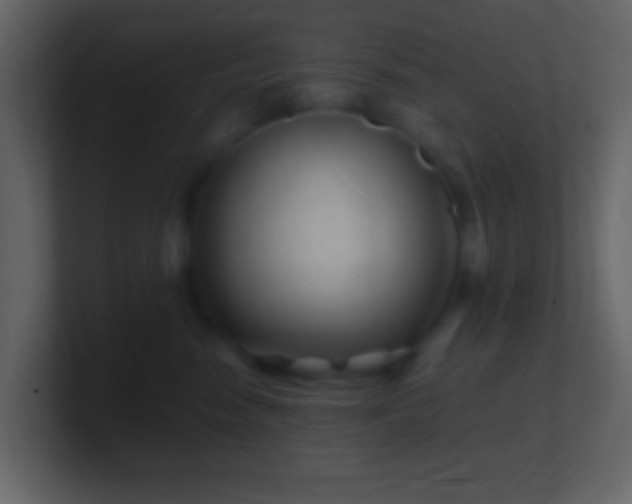 X0000101470474200807071447