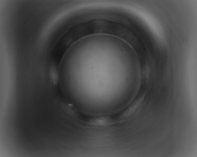 X0000101470479200807071447