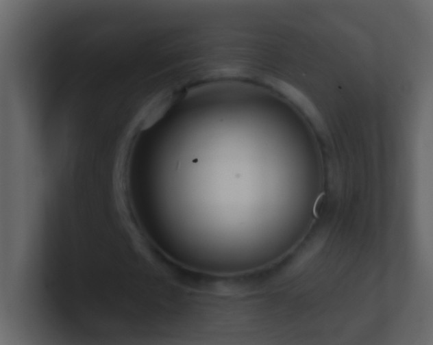 X0000101470481200807071446