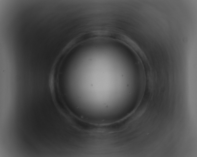 X0000101470482200807071446