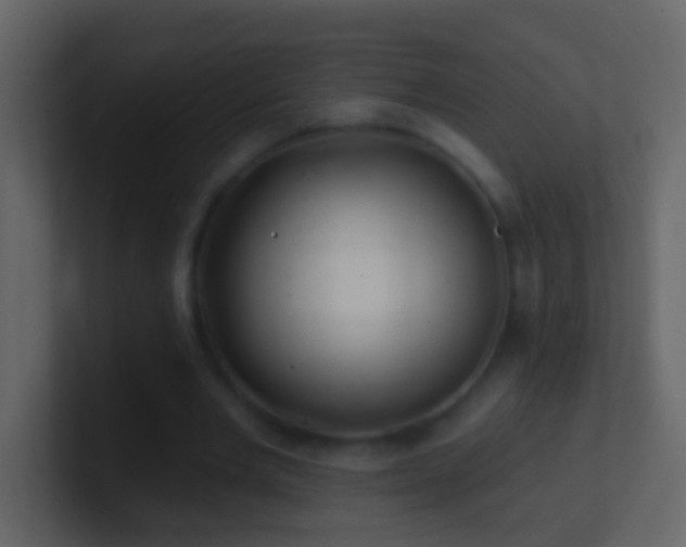 X0000101470485200807071446