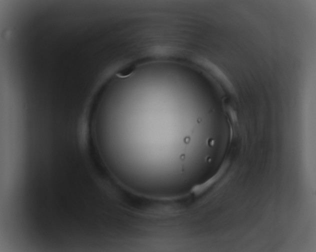 X0000101470488200807071446