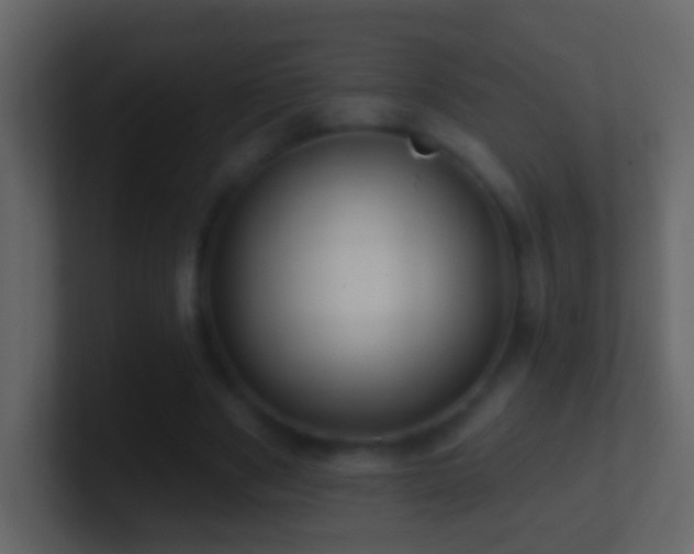 X0000101470489200807071446