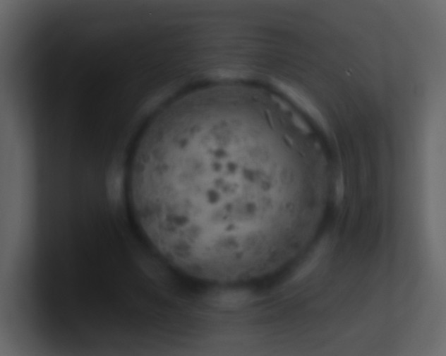 X0000101470491200807071446