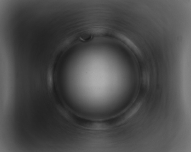 X0000101470493200807071446