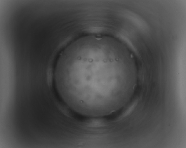 X0000101470495200807071446