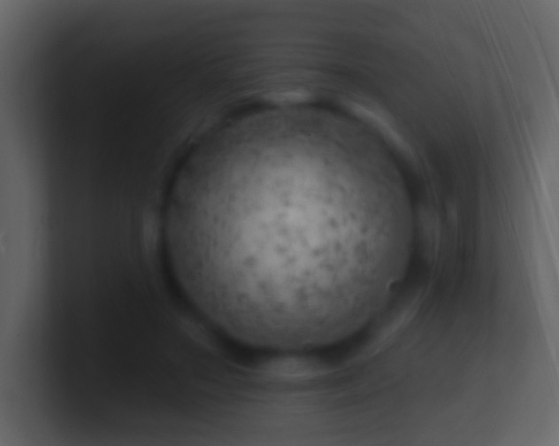 X0000101470499200807071446