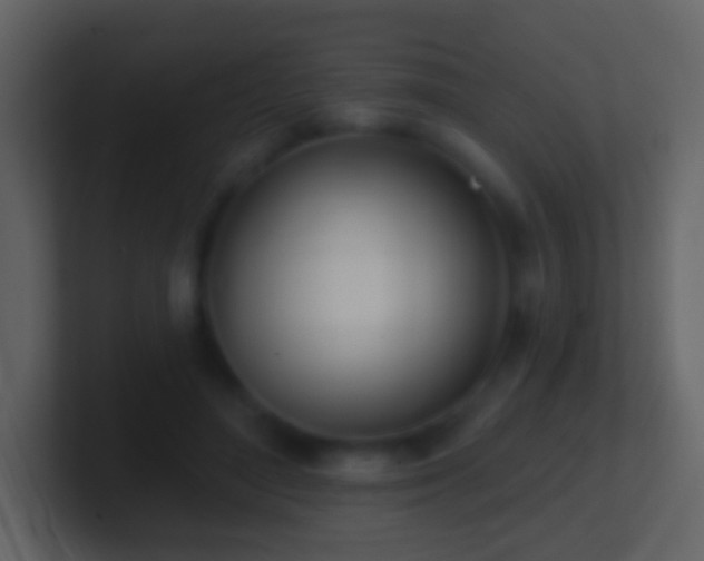 X0000101470500200807071446