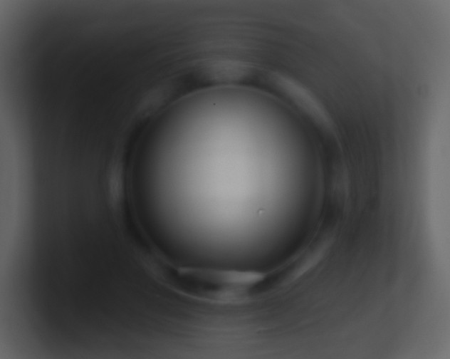 X0000101470501200807071446